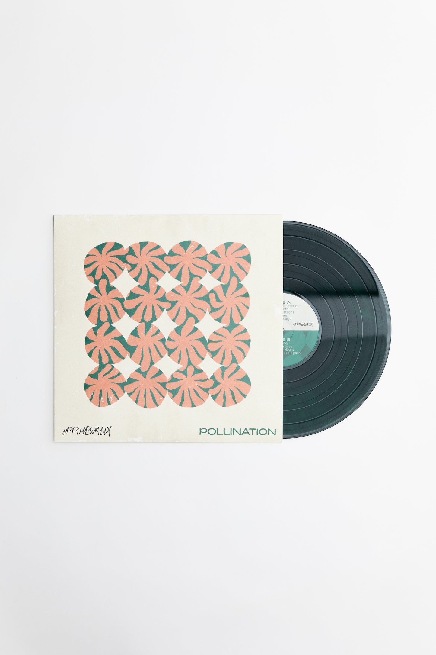 Pollination Vinyl Record