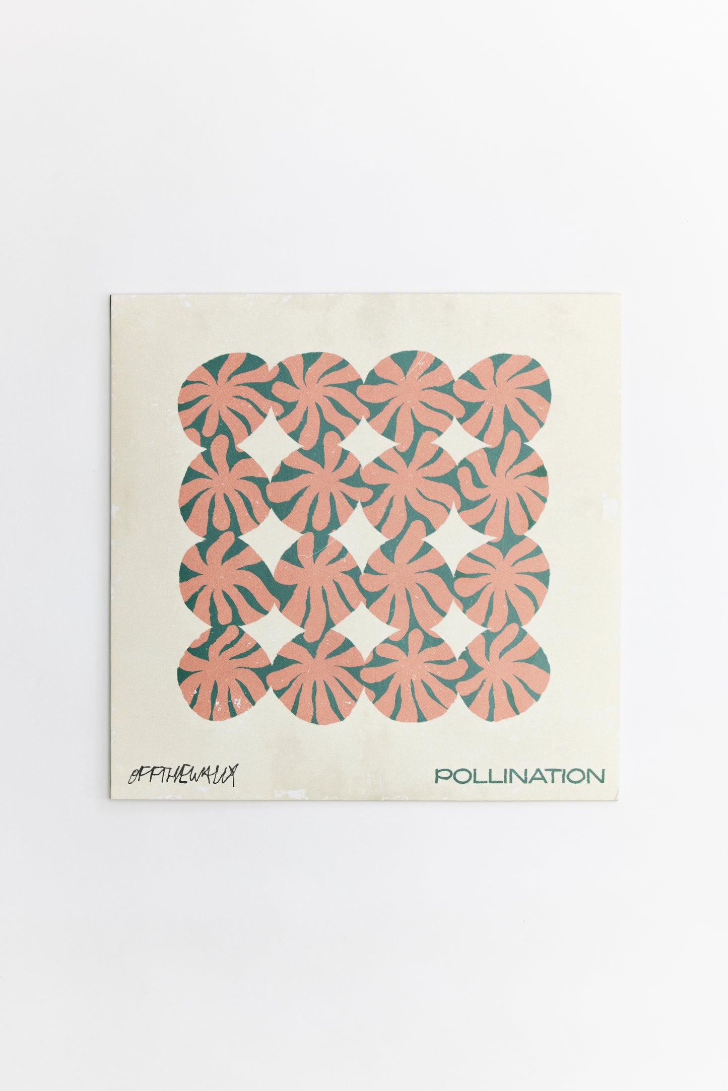 Pollination Vinyl Record